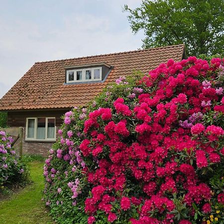 Holiday Home Countryside, Langbroek / Doorn Esterno foto