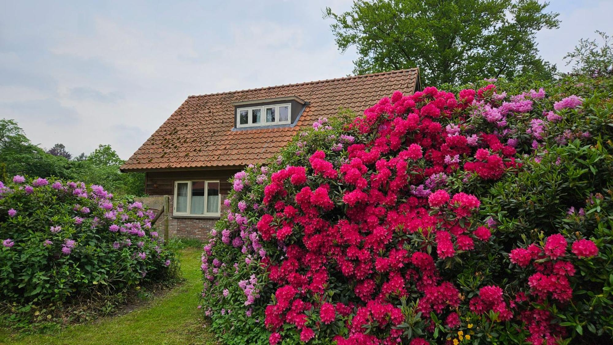 Holiday Home Countryside, Langbroek / Doorn Esterno foto